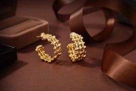 Picture of Bottega Veneta Earring _SKUBVEarring07cly140476